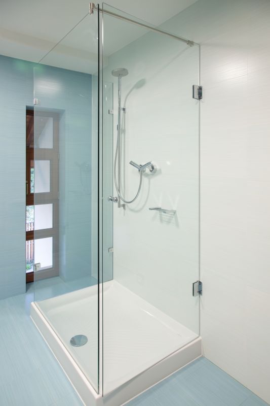 Stylish Shower Door