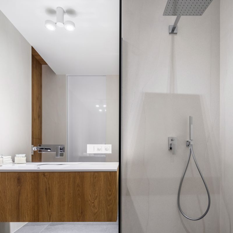 Contemporary Walk-In Shower